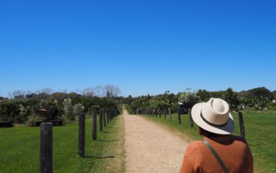 Calling BS on Your Best Year Yet